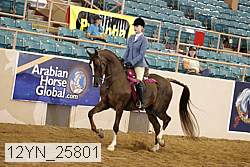 12yn_25801 thumbnail