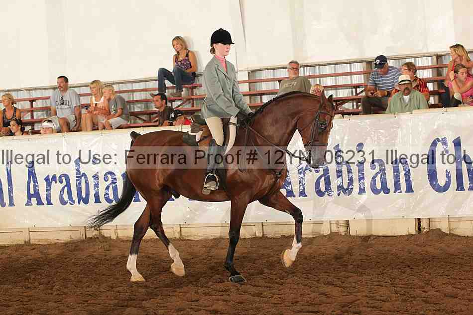 Proof Number 12yn_06231