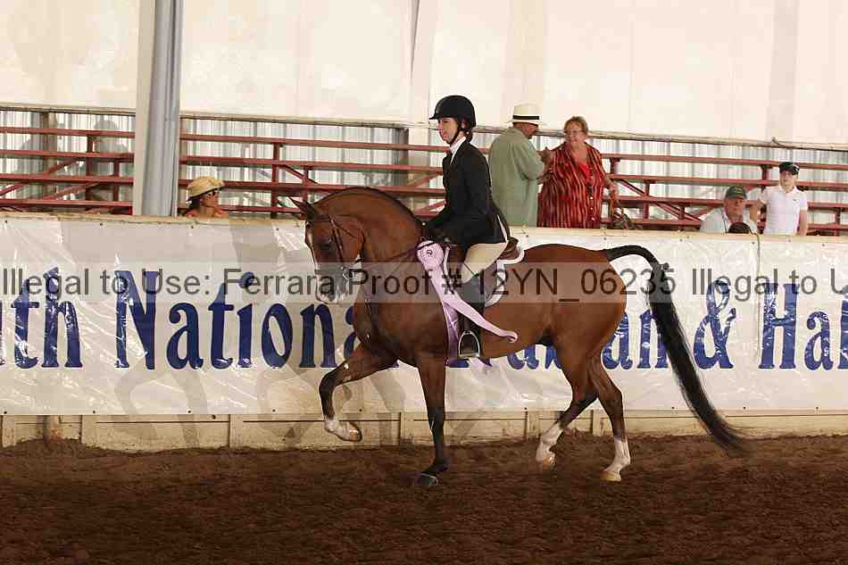 Proof Number 12yn_06235