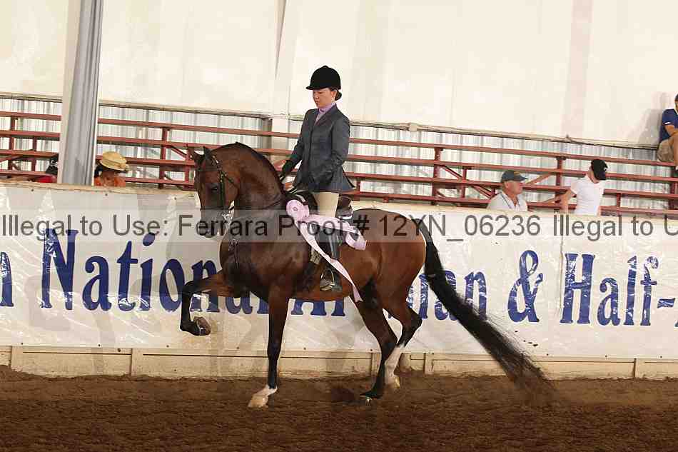Proof Number 12yn_06236