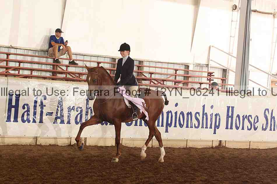 Proof Number 12yn_06241