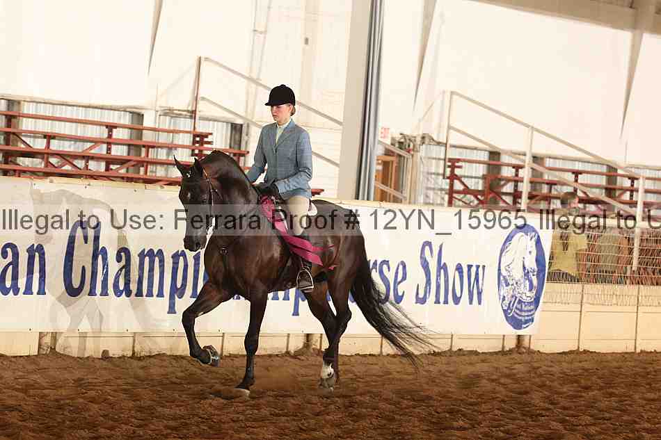 Proof Number 12yn_15965