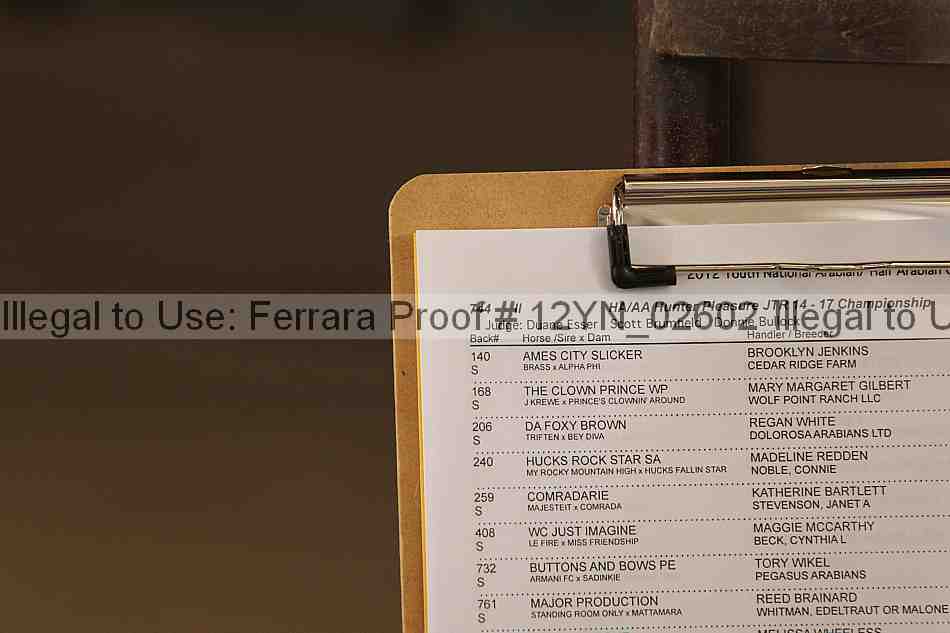Proof Number 12yn_02602