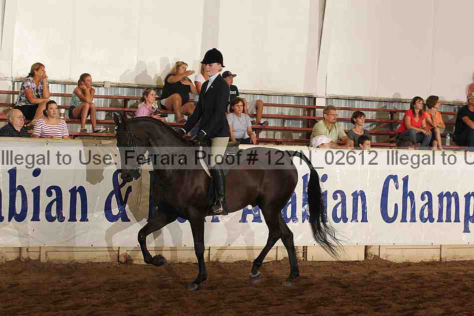 Proof Number 12yn_02612