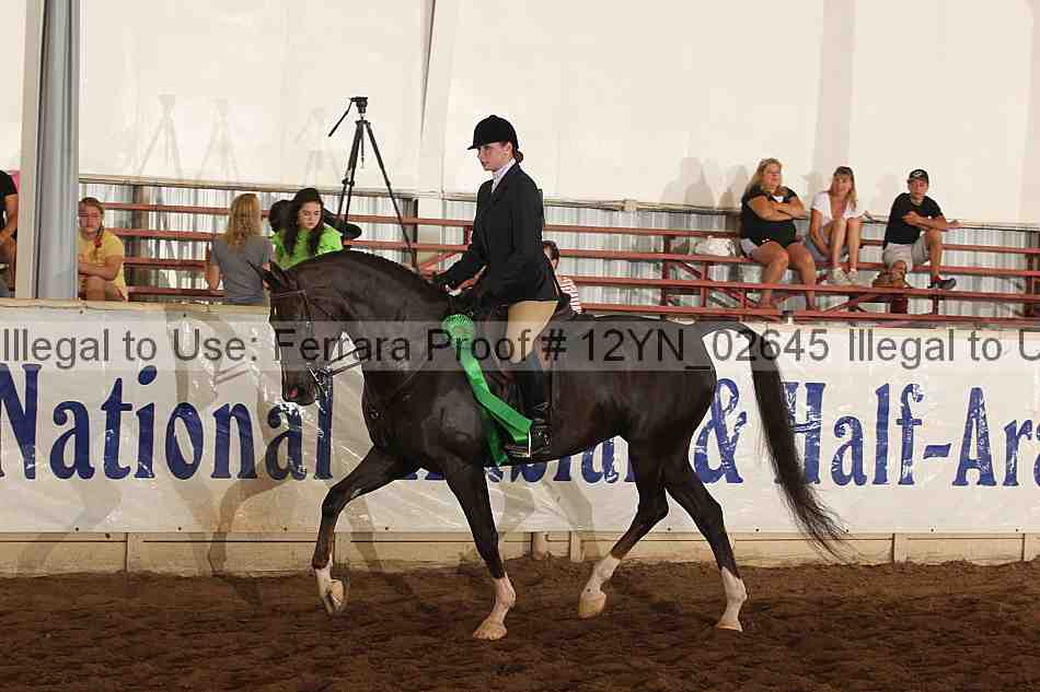 Proof Number 12yn_02645