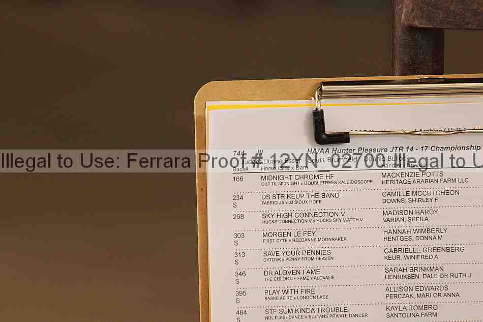 Proof Number 12yn_02700