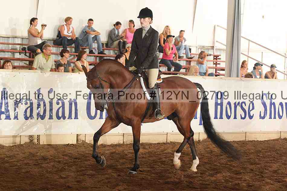 Proof Number 12yn_02709