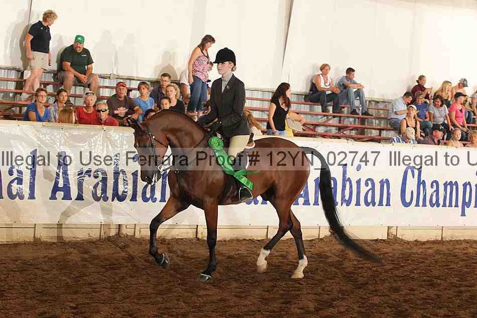 Proof Number 12yn_02747
