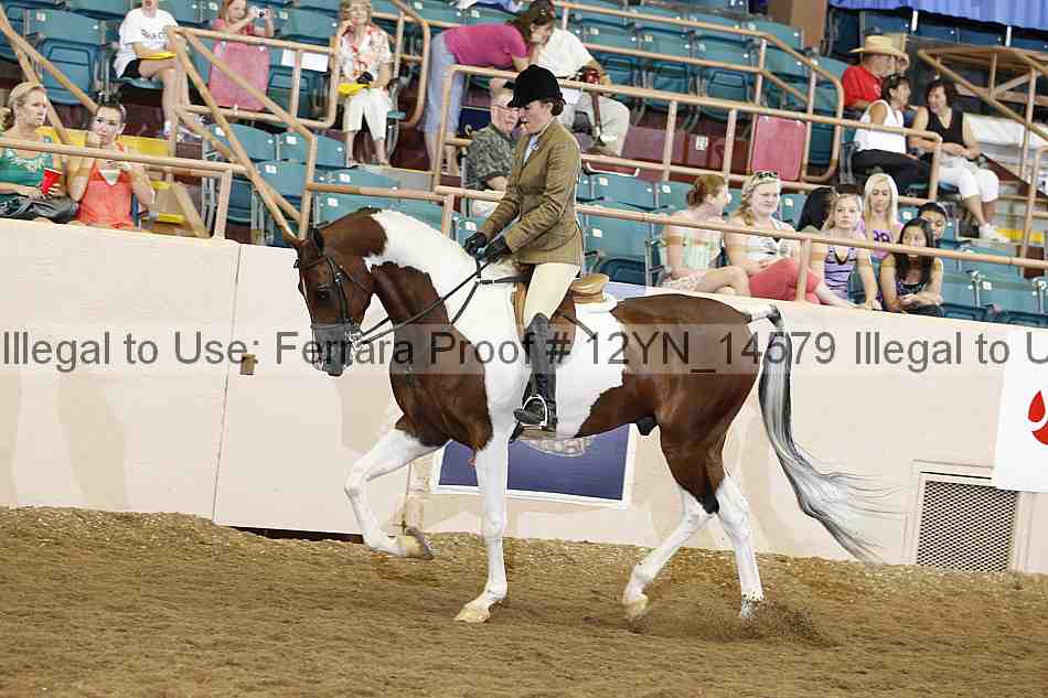 Proof Number 12yn_14579
