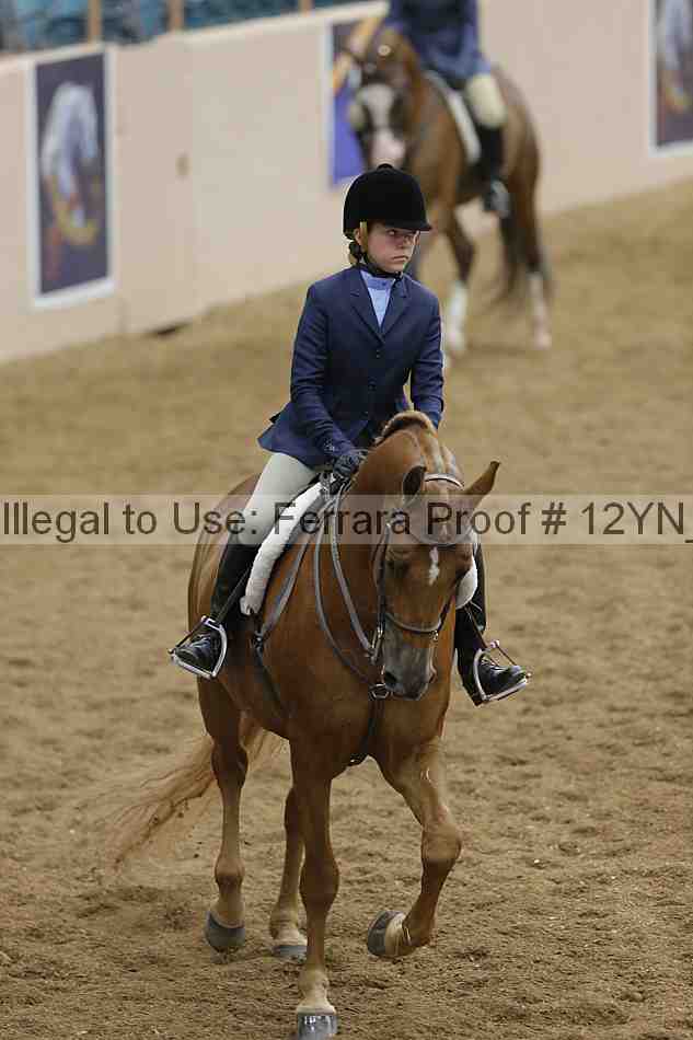 Proof Number 12yn_14582