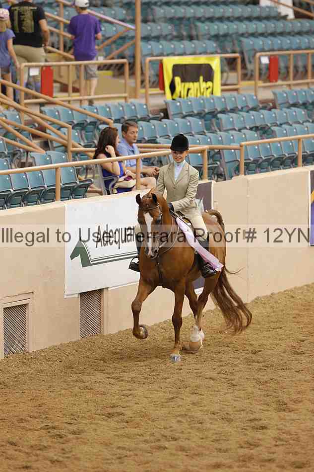 Proof Number 12yn_14605
