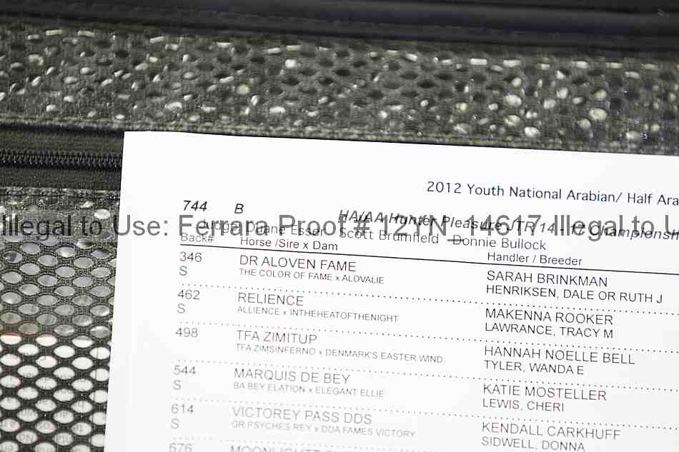 Proof Number 12yn_14617