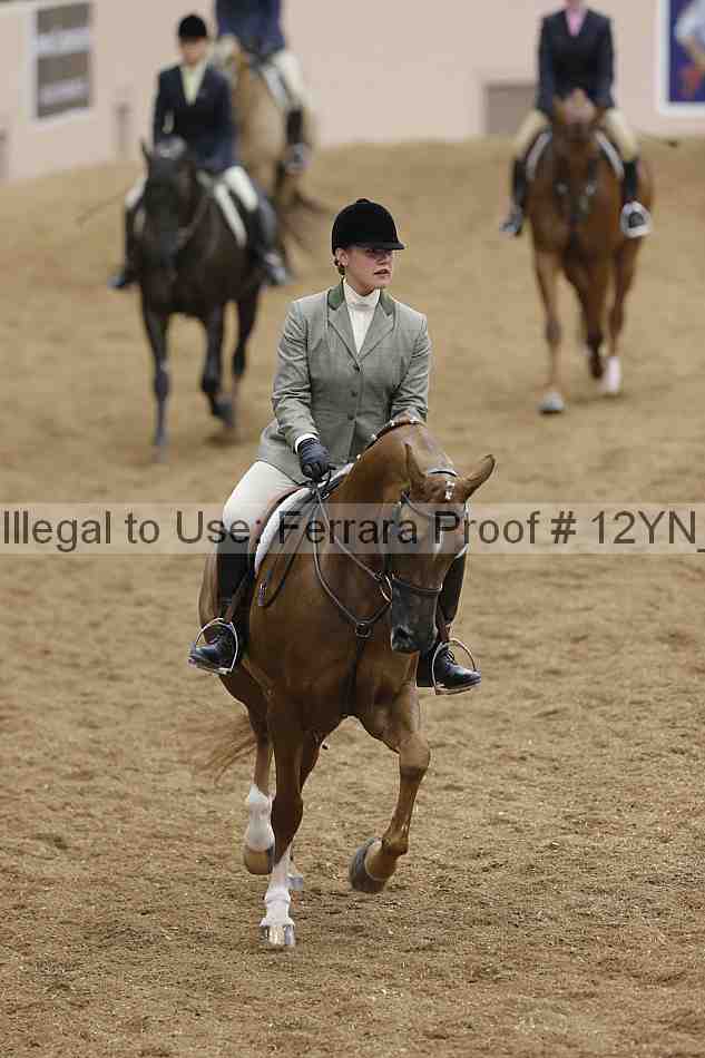 Proof Number 12yn_14657