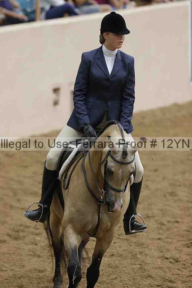 Proof Number 12yn_14661
