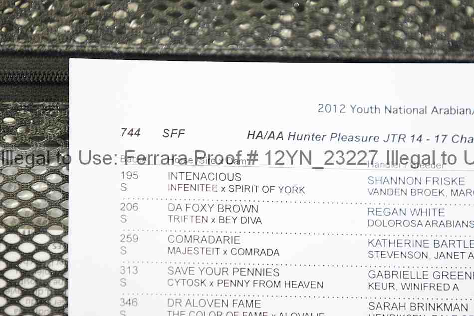 Proof Number 12yn_23227