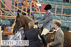 12yn_23283 thumbnail