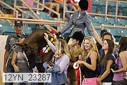 12yn_23287 thumbnail
