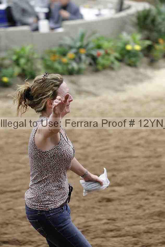Proof Number 12yn_23308