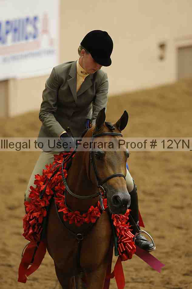 Proof Number 12yn_23340