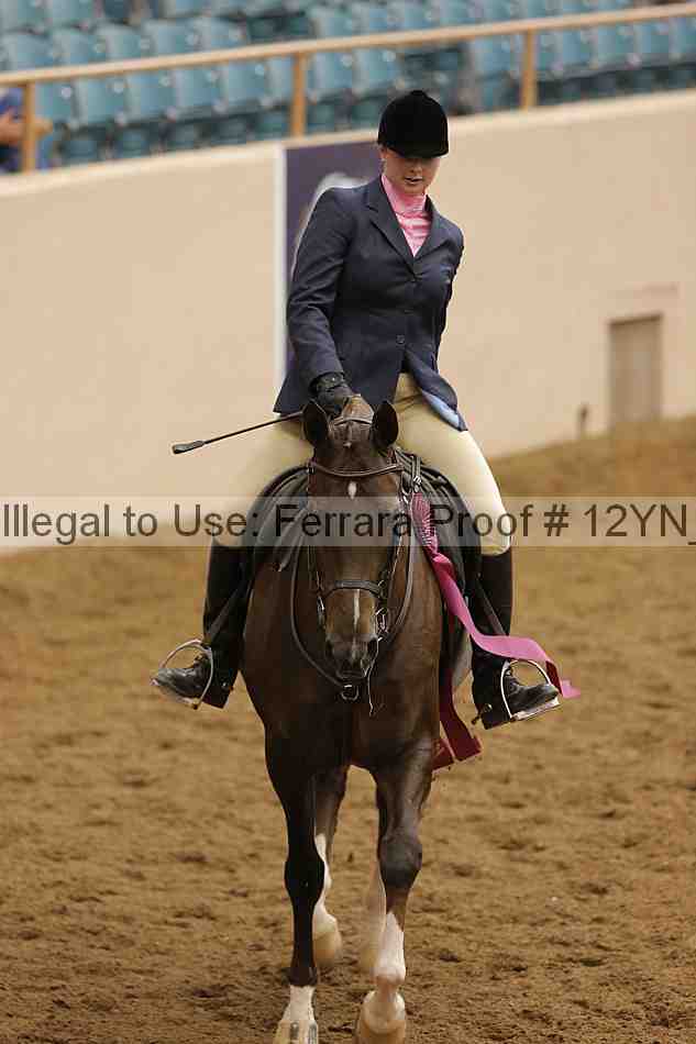 Proof Number 12yn_23374
