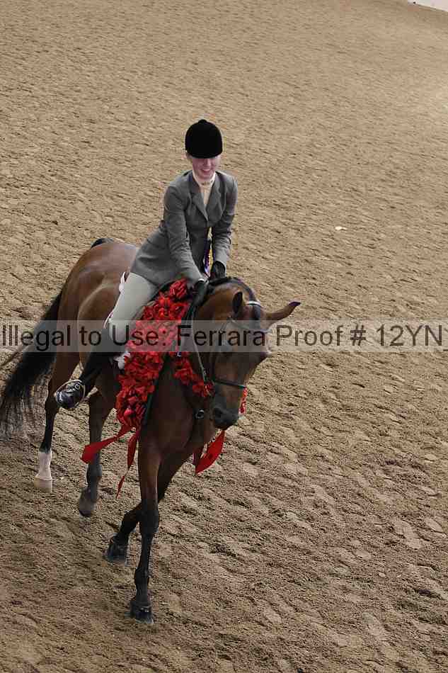 Proof Number 12yn_23391