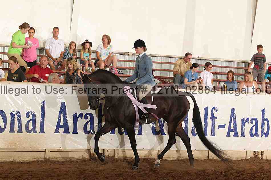 Proof Number 12yn_02804