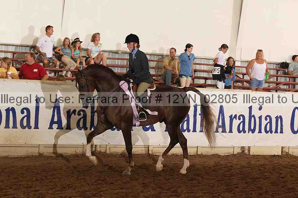 Proof Number 12yn_02805