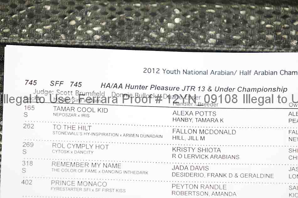 Proof Number 12yn_09108