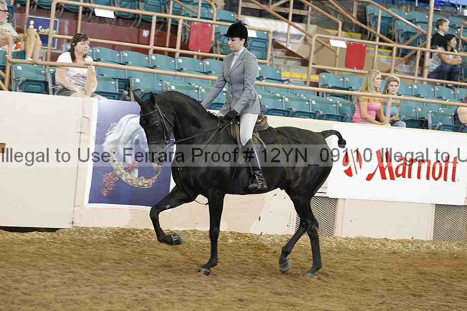 Proof Number 12yn_09110