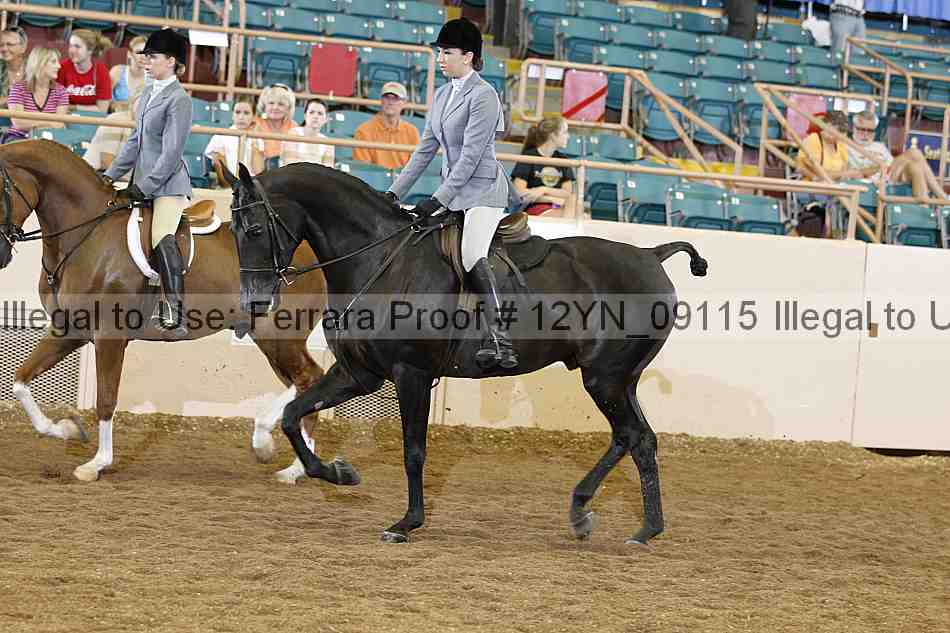 Proof Number 12yn_09115