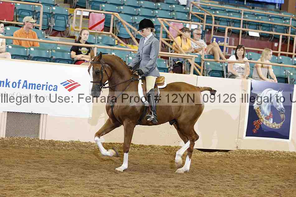 Proof Number 12yn_09126
