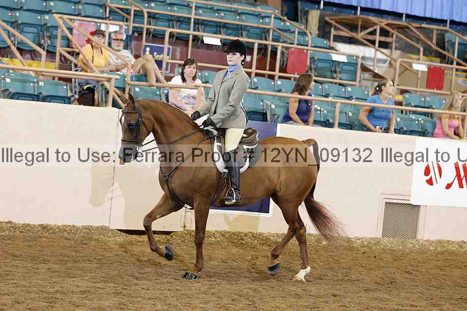 Proof Number 12yn_09132