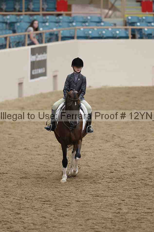 Proof Number 12yn_09136
