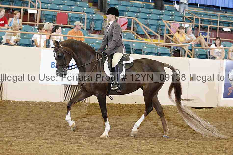 Proof Number 12yn_09138