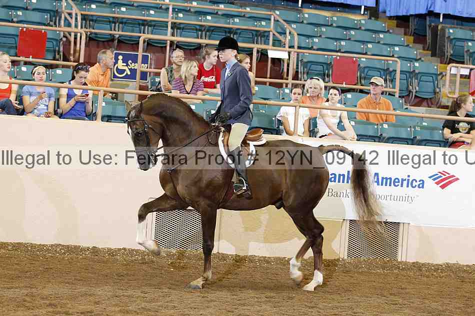 Proof Number 12yn_09142