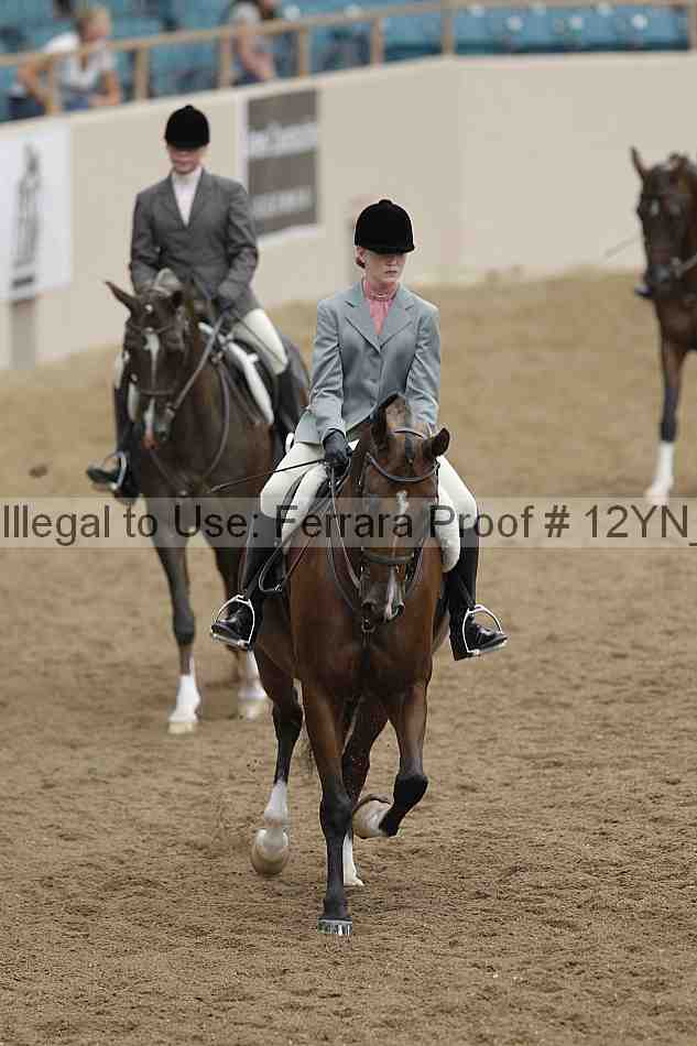 Proof Number 12yn_09160