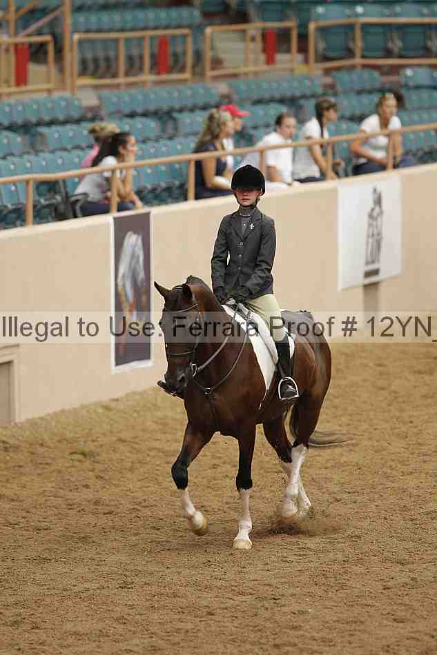 Proof Number 12yn_09163