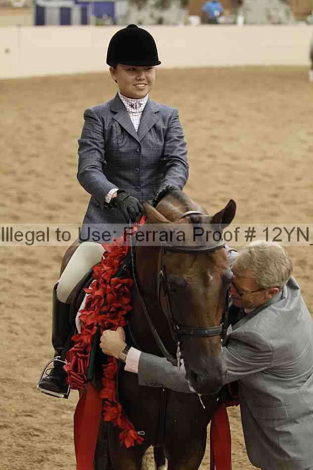 Proof Number 12yn_09222
