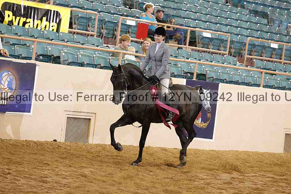 Proof Number 12yn_09242