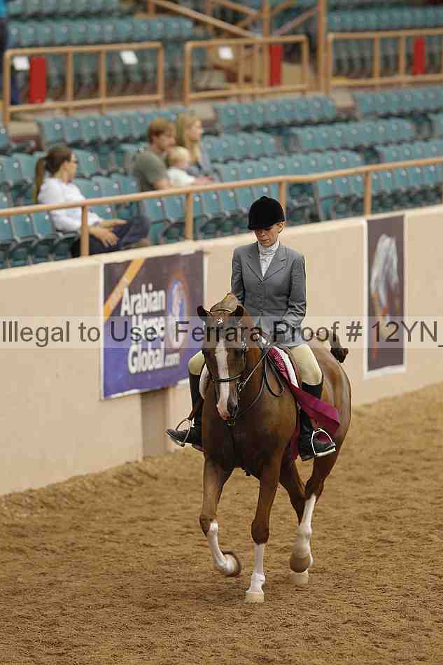 Proof Number 12yn_09249