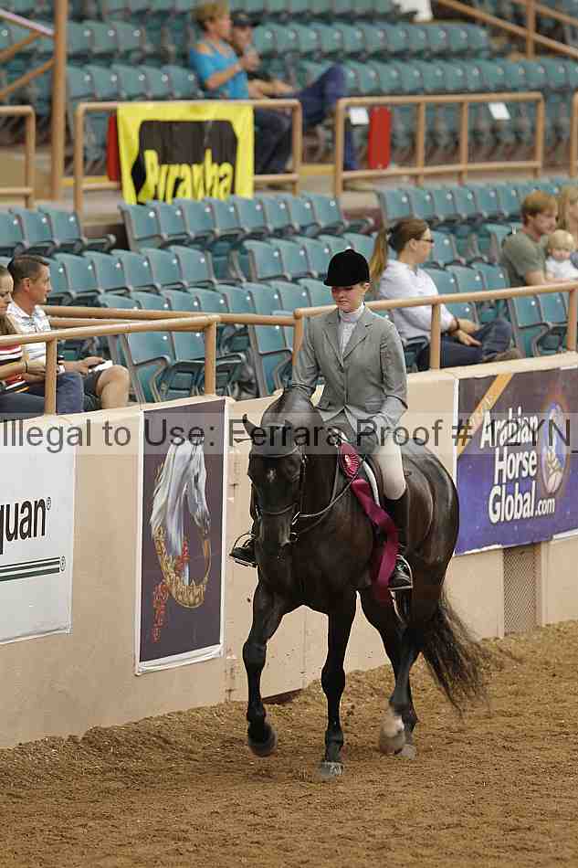 Proof Number 12yn_09253