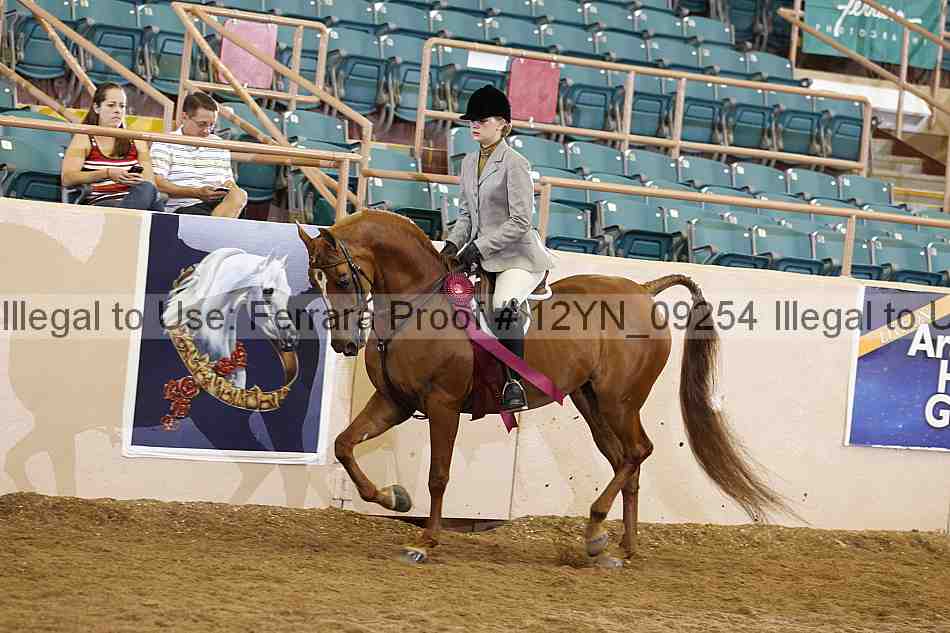 Proof Number 12yn_09254