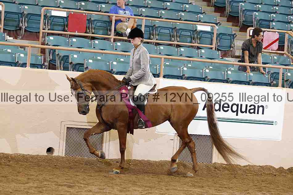 Proof Number 12yn_09255