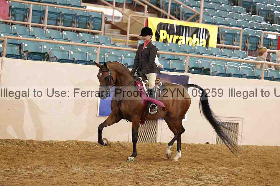 Proof Number 12yn_09259