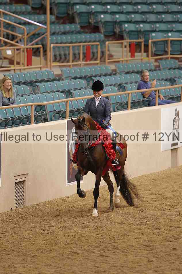 Proof Number 12yn_09279
