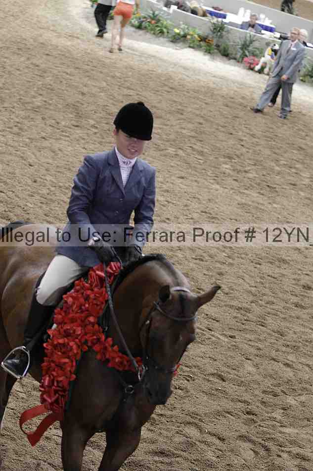 Proof Number 12yn_09288