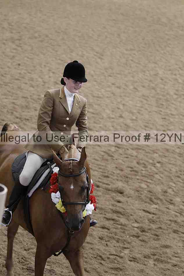 Proof Number 12yn_09289