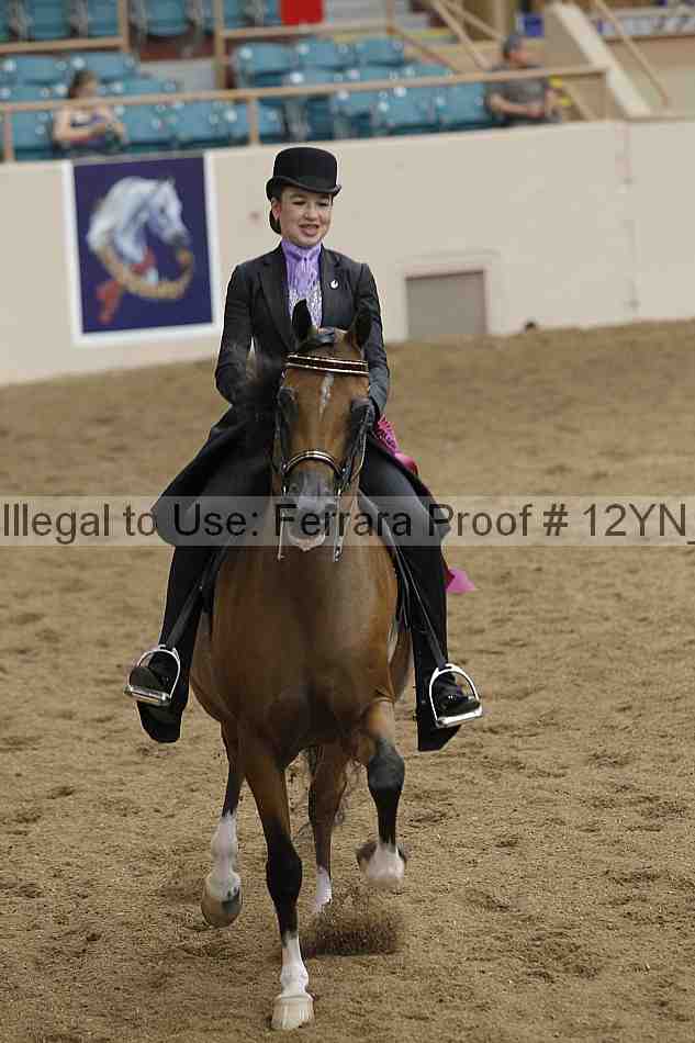 Proof Number 12yn_17848