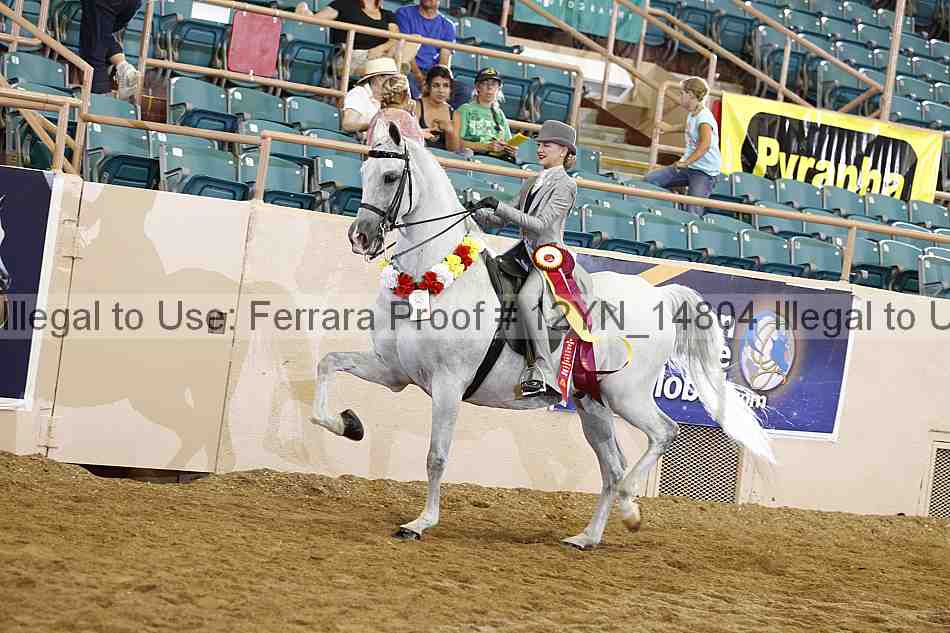 Proof Number 12yn_14804