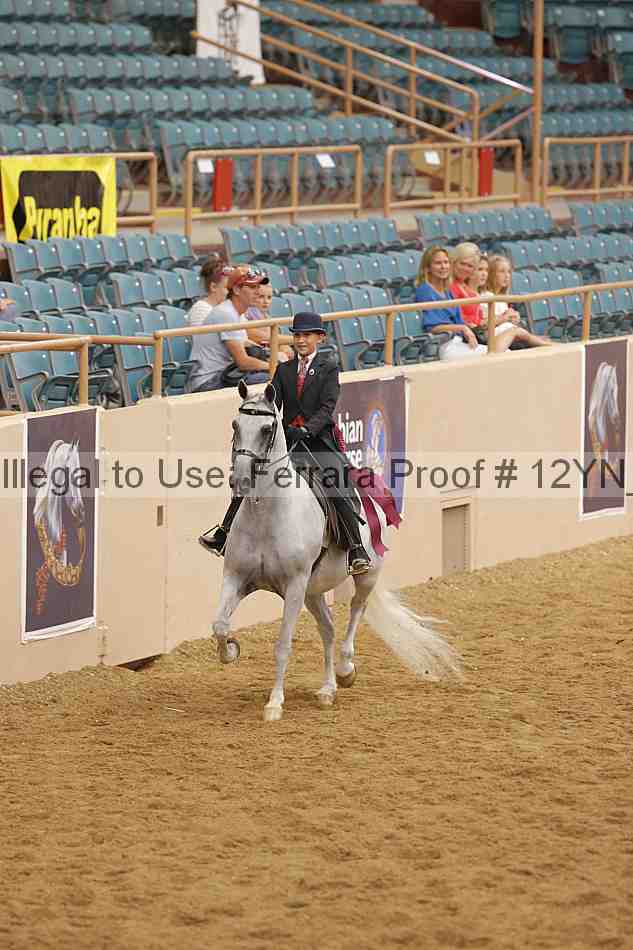 Proof Number 12yn_14809